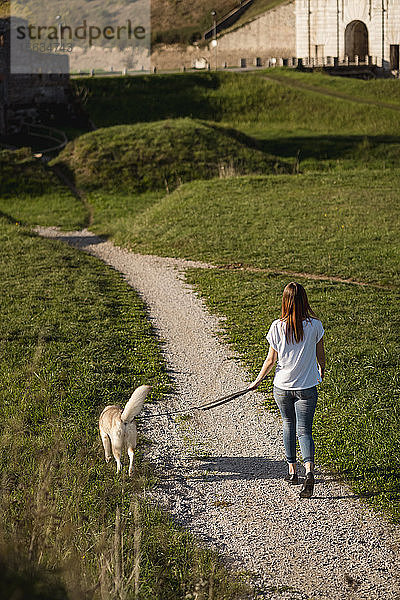 Rückenansicht einer jungen Frau  die mit ihrem Hund Gassi geht