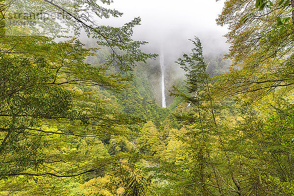 Humboldt Falls  Fiordland National Park  Südinsel  Neuseeland