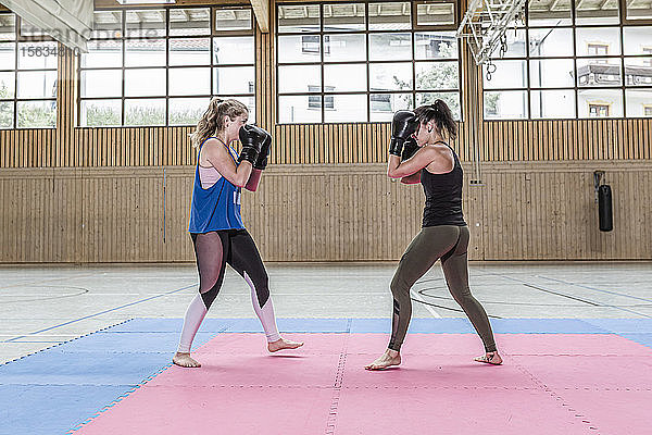 Boxerinnen beim Training in der Sporthalle