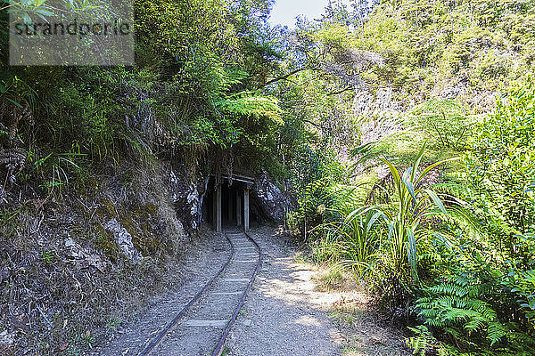 Neuseeland  Nordinsel  Waikato  Landschaft mit Eisenbahnschienen