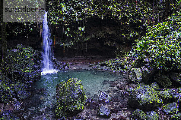 Szenische Ansicht eines Wasserfalls  der im Emerald Pool im Wald plätschert  Dominica  Karibik