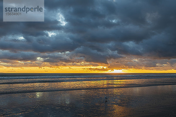 Neuseeland  Nordinsel  Waikato  WaihiÂ Beach  malerischer Blick auf den Meeresstrand bei Sonnenuntergang