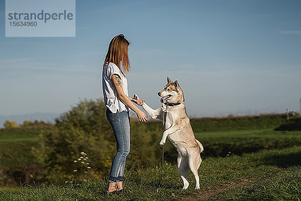 Junge Frau unterrichtet ihren Hund in der Natur