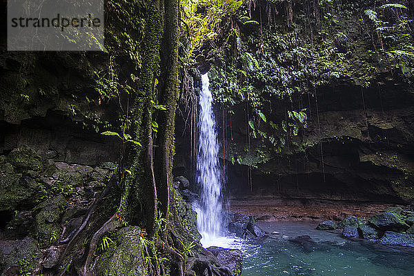 Szenische Ansicht eines Wasserfalls  der im Emerald Pool plätschert  Dominica  Karibik
