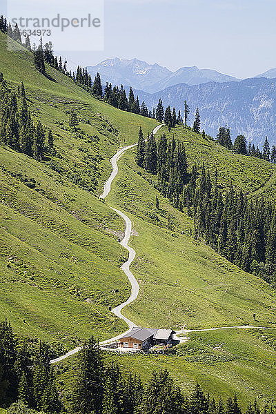 Wanderweg auf dem Hartkaiser  Tirol  Österreich