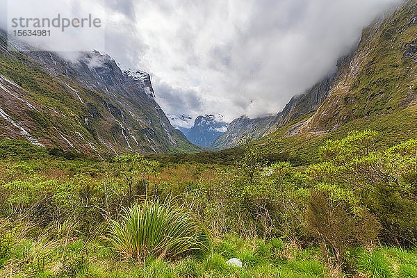 Fiordland-Nationalpark  Südinsel  Neuseeland