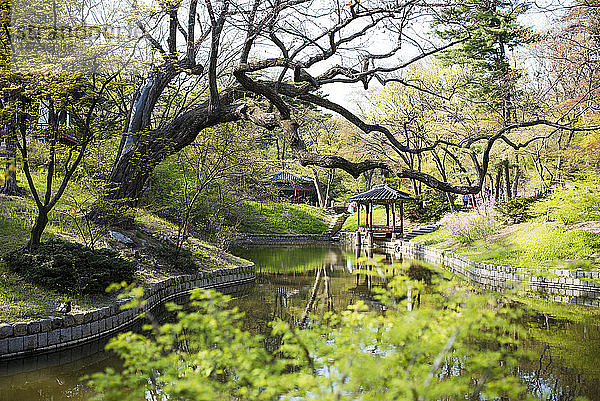 Pagode im Geheimen Garten des Changdeokgung-Palastes  Seoul  Südkorea