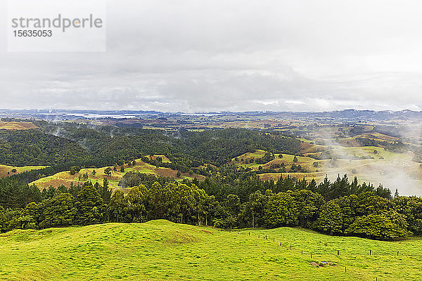 Blick auf die grüne Landschaft vor bewölktem Himmel in Ozeanien  Neuseeland