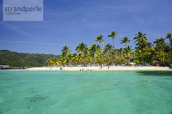 Szenerieansicht von Palmen am Strand vor blauem Himmel auf der Halbinsel Samana  Dominikanische Republik