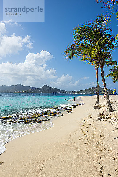 Szenerieansicht des palmengesäumten weißen Sandstrandes auf Palm Island mit der Insel Union im Hintergrund  Grenadinen-Inseln  St. Vincent und die Grenadinen  Karibik