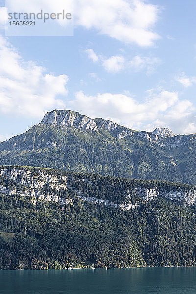 Schweiz  Gersau  Schwyz  Blick auf hohe bewaldete Klippe im Sommer