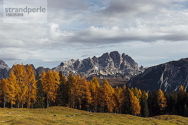 Herbstliche Berglandschaft im Morgenlicht  Dolomiten  Cortina  Italien