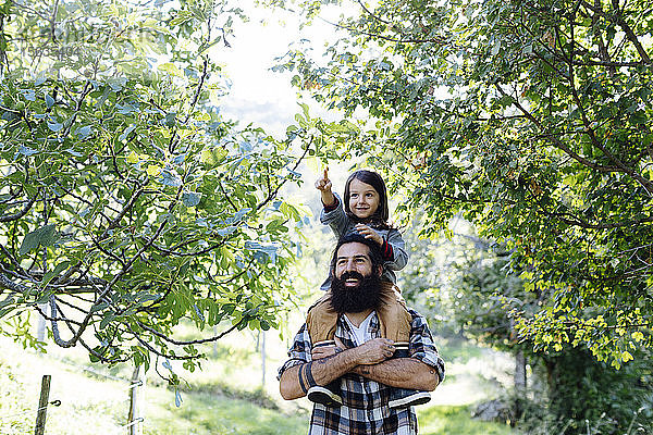 Glücklicher Vater mit Kind auf den Schultern in einem Obstgarten