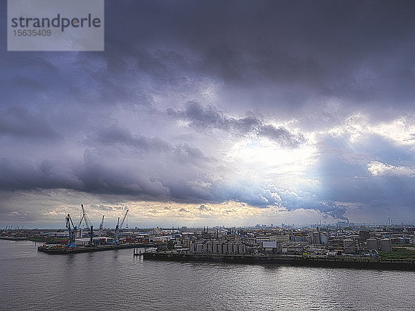 Hamburger Hafen  Unterelbe  Steinwerder  Hamburg  Deutschland