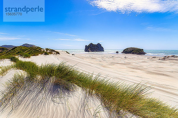 Neuseeland  Südinsel  Panoramablick auf Wharariki Beach
