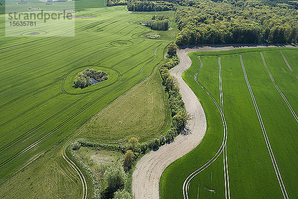 Deutschland  Mecklenburg-Vorpommern  Luftaufnahme einer kurvenreichen Landstraße zwischen ausgedehnten Weizenfeldern im Frühling