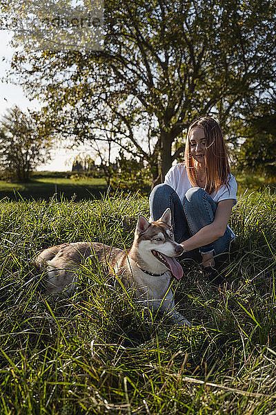 Glückliche junge Frau streichelt ihren Hund auf einer Wiese
