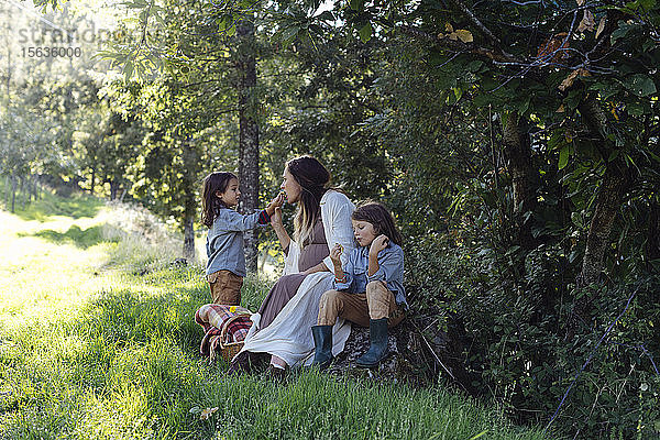 Schwangere Mutter mit zwei Kindern beim Picknick auf dem Land
