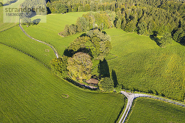 Deutschland  Oberbayern  Icking  Luftaufnahme einer grünen Hügellandschaft
