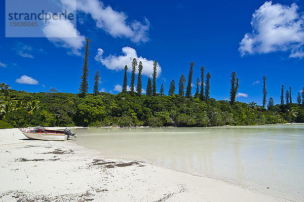 An Bäumen am Strand vertäutes Boot vor blauem Himmel  Melanesien  Neukaledonien