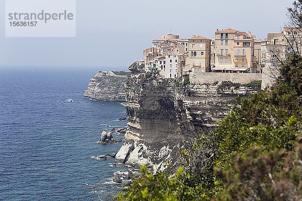 Altstadt Bonifacio auf weißen Kalksteinklippen am Meer vor klarem Himmel bei Korsika  Frankreich