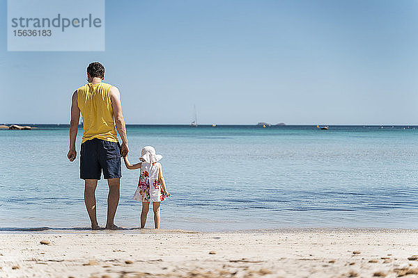 Rückansicht eines am Strand stehenden Vaters mit Tochter