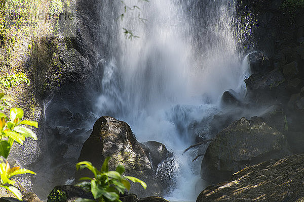 Blick auf die auf Felsen plätschernden Trafalgar Falls im Morne Trois Pitons National Park  Dominica