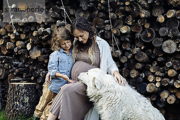 Schwangere Mutter mit Sohn und Hund beim Entspannen am Holzstapel
