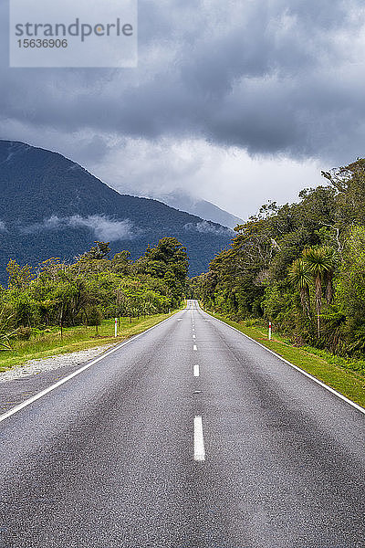 Haast Highway  Südinsel  Neuseeland