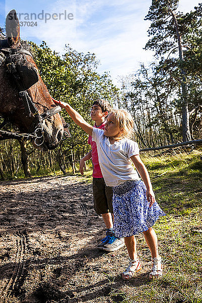 Junge und Mädchen streicheln ein Pferd