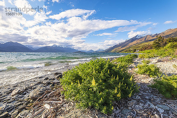 Glenorchy  Südinsel  Neuseeland