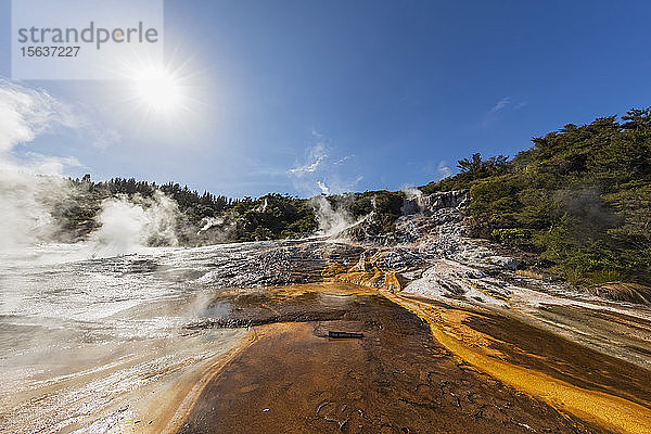 Heiße Quellen Algen und Terrassen und Smaragd-Terrasse  Orakei Korako Geothermal Park  Taupo-Vulkanzone  Nordinsel  Neuseeland