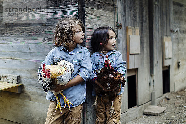 Zwei Kinder halten Hühner auf einem Biobauernhof