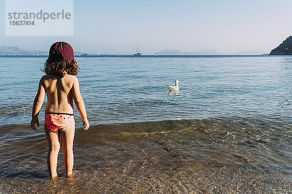 Rückenansicht eines kleinen Mädchens  das an der Strandpromenade steht und schwimmende Möwen beobachtet  Pollenca  Mallorca  Spanien