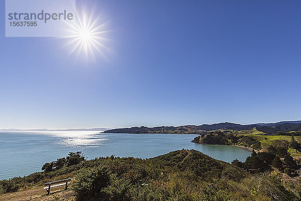Blick auf die Waitawa-Bucht bei strahlend blauem Himmel in der Region Auckland  Neuseeland