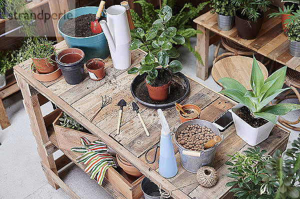 Holztisch mit Topfpflanzen und Gartengeräten auf einer Terrasse