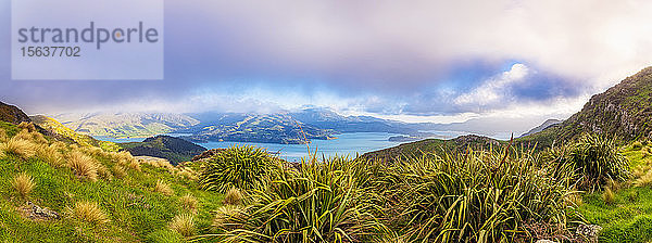 Blick über den Hafen von Lyttelton  Christchurch  Canterbury  Südinsel  Neuseeland