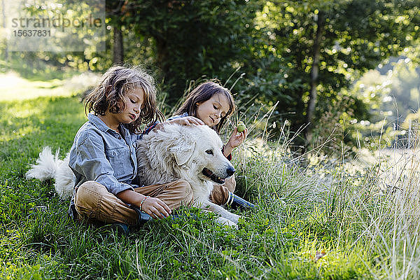 Zwei Kinder entspannen mit Hund auf einer Wiese