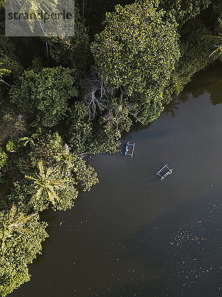 Luftaufnahme von Booten auf dem Fluss bei Bäumen auf Bali  Indonesien