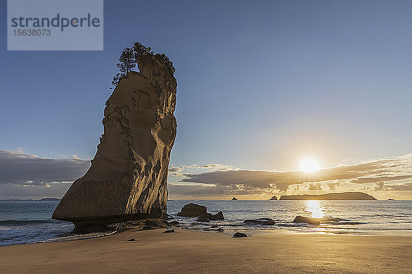 Neuseeland  Nordinsel  Waikato  Te Hoho Rock bei Sonnenuntergang