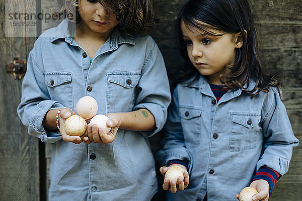 Zwei Kinder halten Eier im Hühnerstall auf einem Biohof