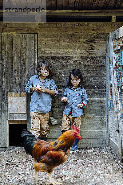 Zwei Kinder stehen im Hühnerstall auf einem Biohof