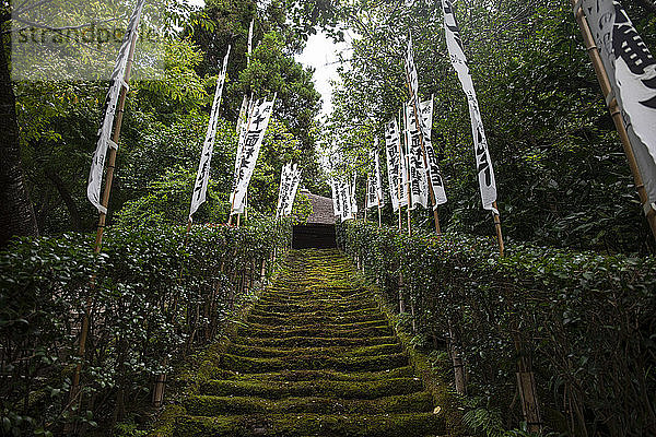 Moos-Treppe zum Sugimoto-dera-Tempel  Tokio  Japan
