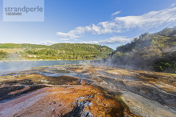 Emerald Terrace  Orakei Korako Geothermal Park  Taupo-Vulkanzone  Nordinsel  Neuseeland