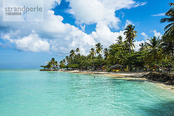 Blick auf die Palmen am Pigeon Point Beach bei bewölktem Himmel  Trinidad und Tobago  Karibik