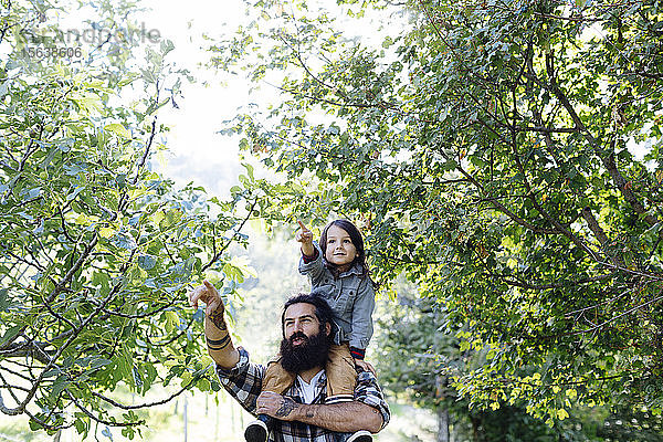 Vater mit Kind auf den Schultern in einem Obstgarten