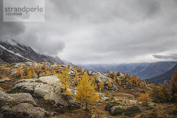 Wanderer  der im Herbst durch die Hochebene der Alpen wandert  Sondrio  Italien