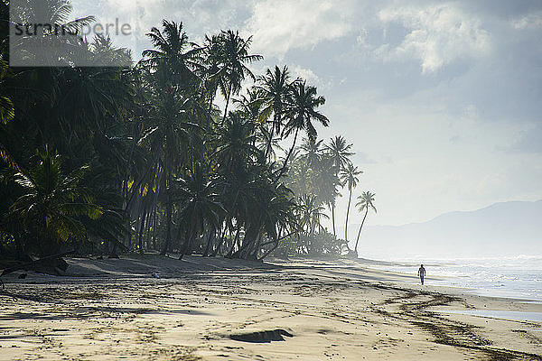 Touristischer Spaziergang am Strand von Coson  Las Terrenas  Dominikanische Republik
