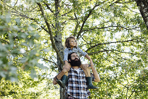 Vater mit Kind auf den Schultern im Wald
