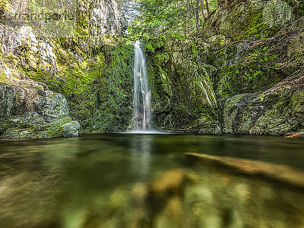 Wasserfall über grünem  moosbewachsenem Felsen; Saint John  New Brunswick  Kanada